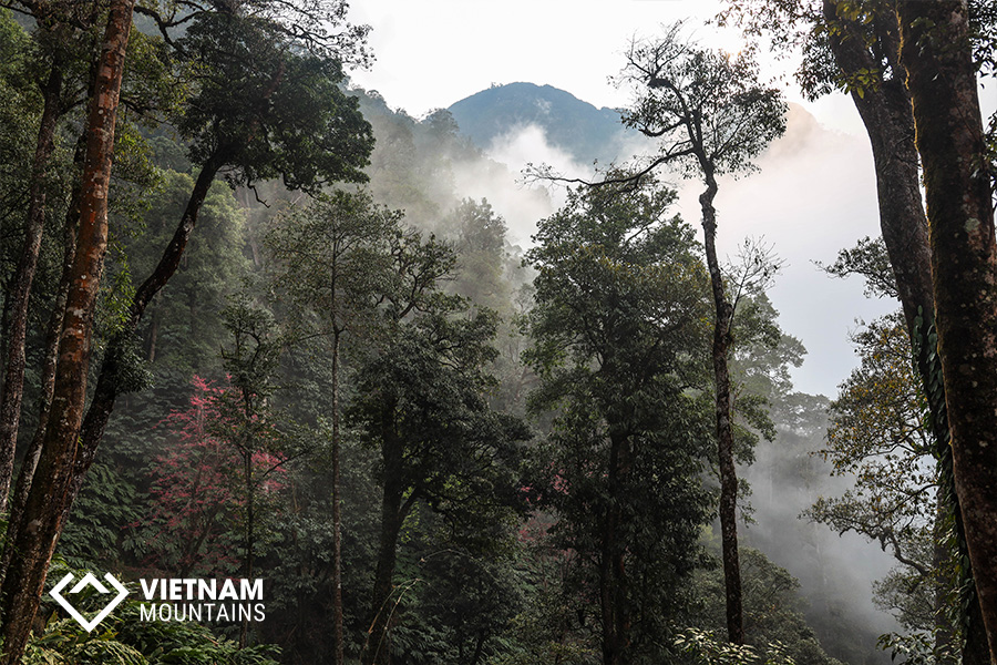 Nam Kang Ho Tao Mountain - The Forgotten Legend Nam Kang Ho Tao Mountain - The Forgotten Legend