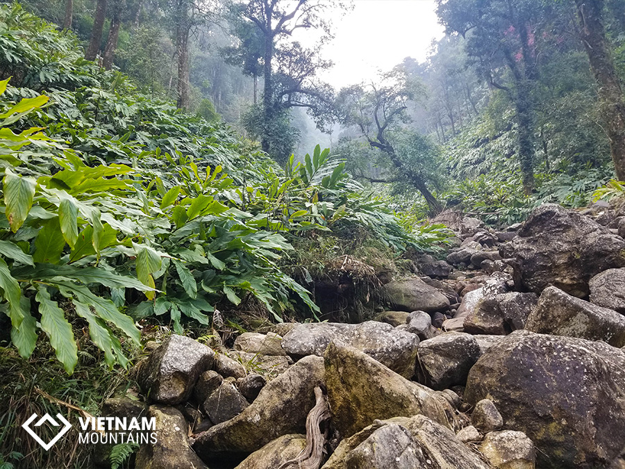 Nam Kang Ho Tao Mountain - The Forgotten Legend Nam Kang Ho Tao Mountain - The Forgotten Legend