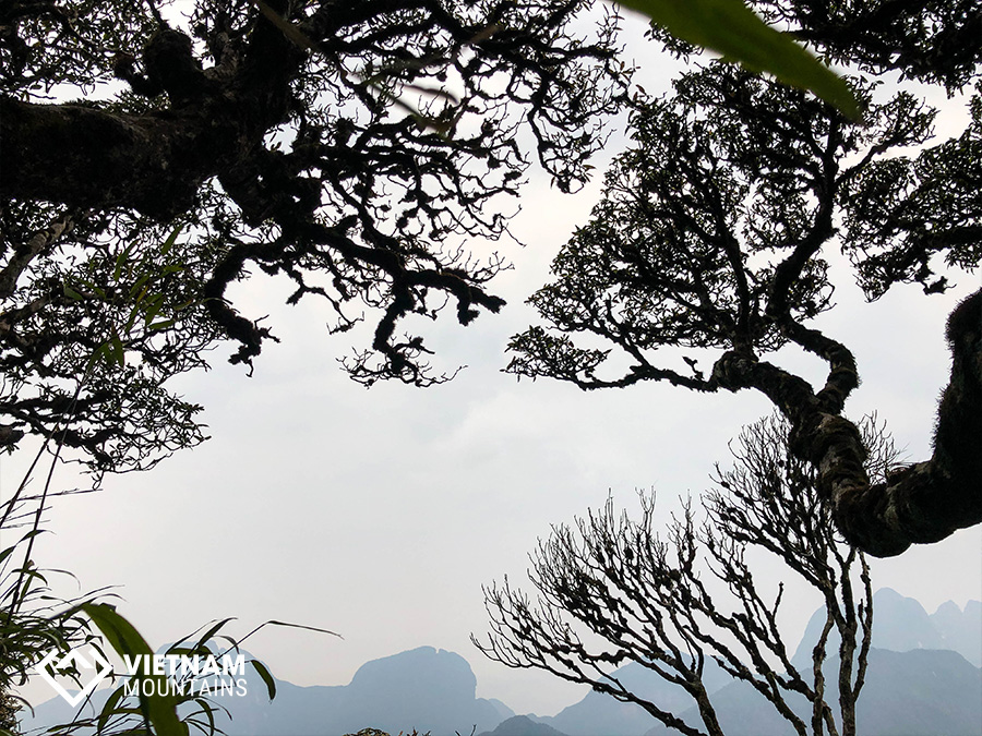 Nam Kang Ho Tao Mountain - The Forgotten Legend Nam Kang Ho Tao Mountain - The Forgotten Legend