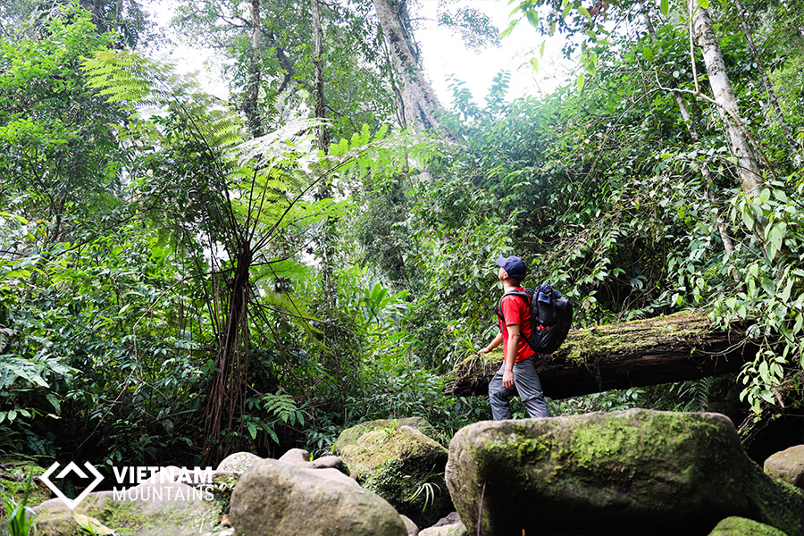 Nam Kang Ho Tao Mountain - The Forgotten Legend Nam Kang Ho Tao Mountain - The Forgotten Legend