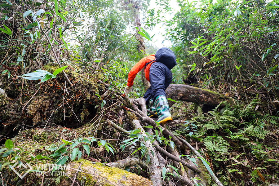 The mysterious ladder in Ngu Chi Son mountains