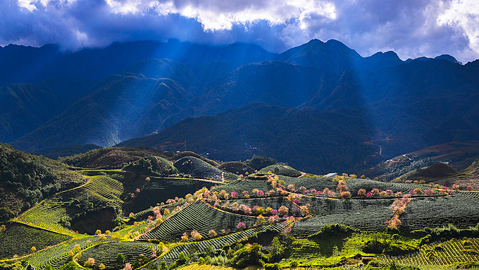 Vietnam mountain range turns dreamy in fall