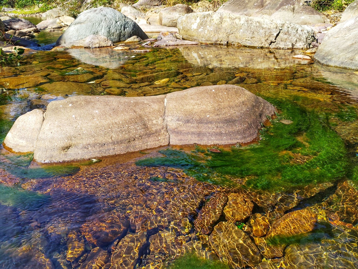 River moss, a Vietnam mountain delicacy